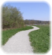 Peaceful Path