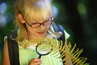 New Study Looks At The Effect Of Nature On The Mental Health Of Children